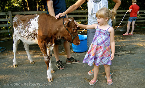 2016 Schuylkil County Fair