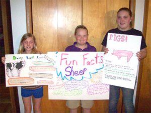 Laura Henderson, Casmira Keller and Stefani Strouse exhibit their posters for the up coming Bear Creak Festival on May 17 held at the Schuylkill County Fairgrounds. 4-H'ers are members of the Blue Mt. 4-H Livestock Club.