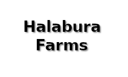 Halabura Farms
