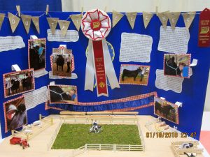convention-display