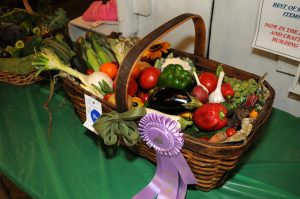 veggie-basket_4595