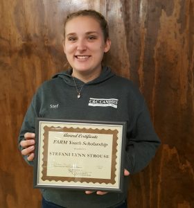 Stefani-Strouse-Scholarship