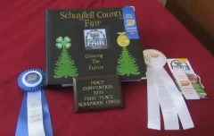 2024-Fair-Awards